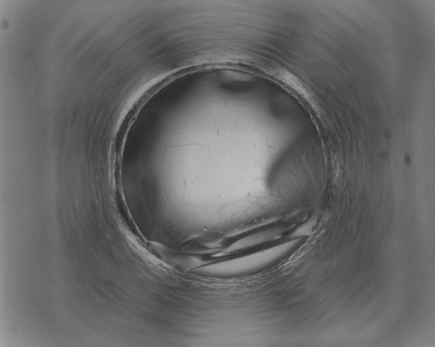 X0000071921124200607281846