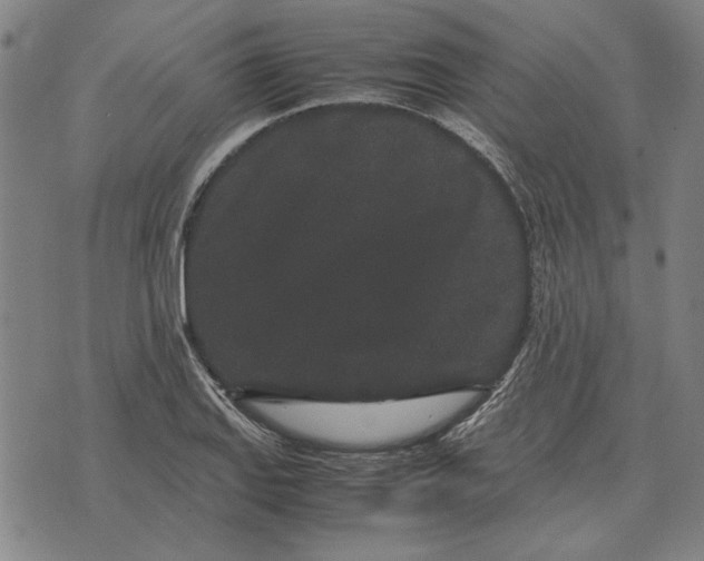 X0000071921127200607281846