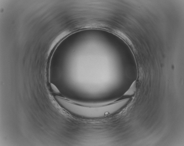 X0000071921138200607281847