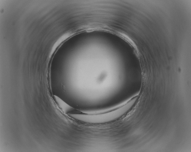 X0000071921146200607281847