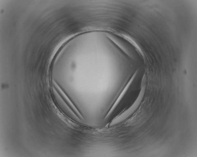 X0000071921148200607281847