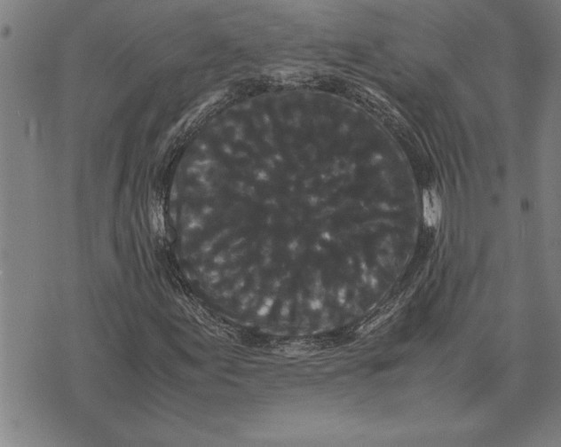 X0000071921155200607281846