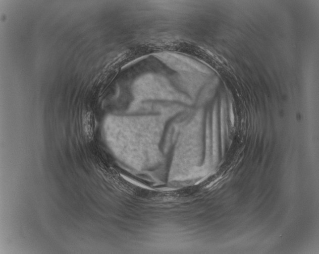 X0000071921156200607281846
