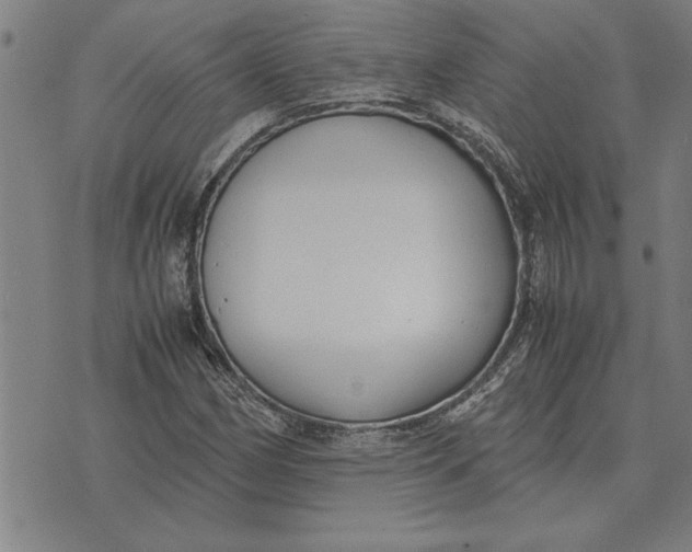X0000071921162200607281846
