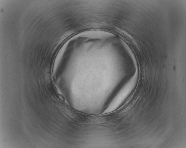 X0000071921170200607281846