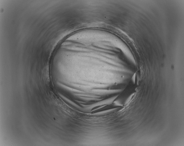 X0000071921174200607281846