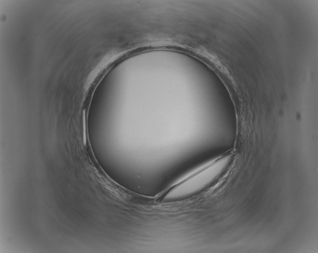 X0000071921175200607281846