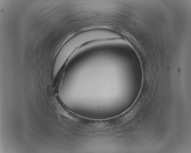 X0000071921177200607281846