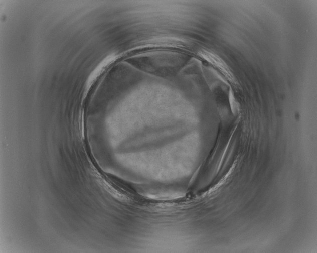 X0000071921180200607281846