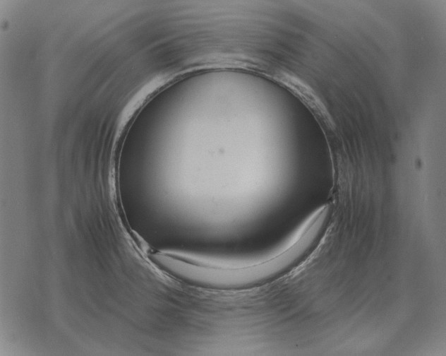 X0000071921188200607281845