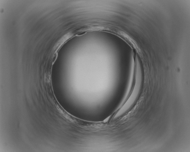 X0000071921193200607281845