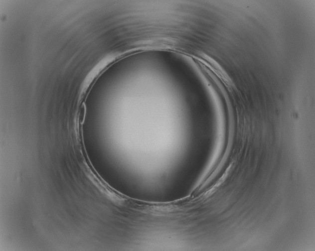 X0000071921196200607281845