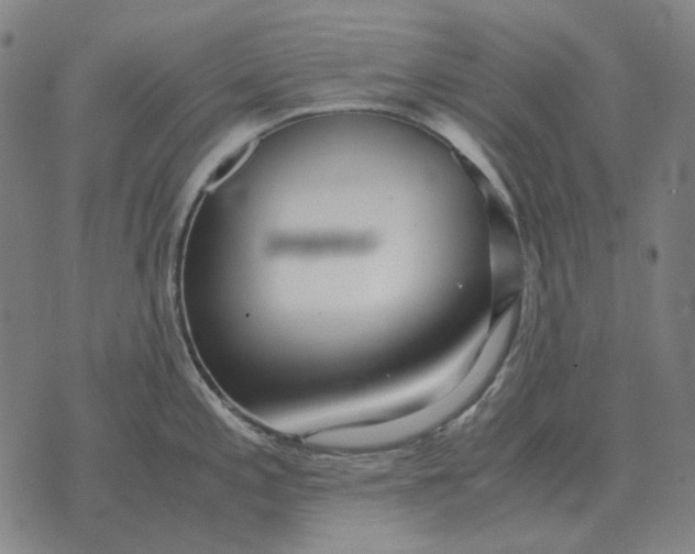 X0000071921197200607281845