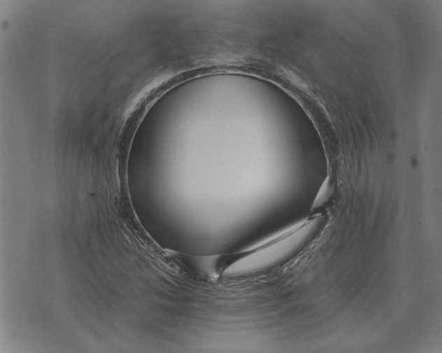 X0000071921214200607281845