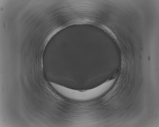 X0000071921226200607281845