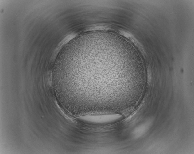 X0000071921233200607281845