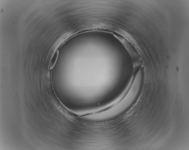 X0000071921234200607281845
