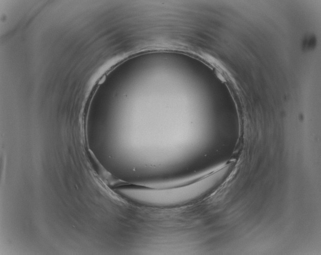 X0000071921238200607281845