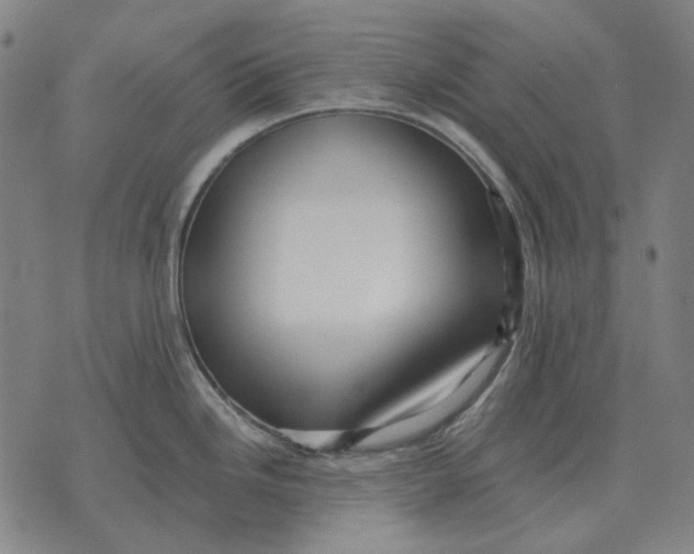 X0000071921246200607281845