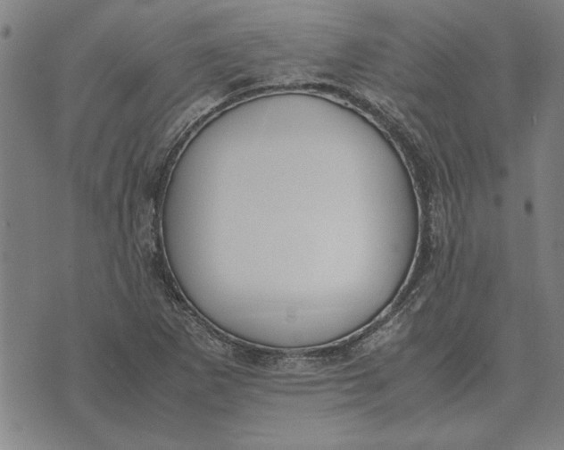 X0000071921265200607281844