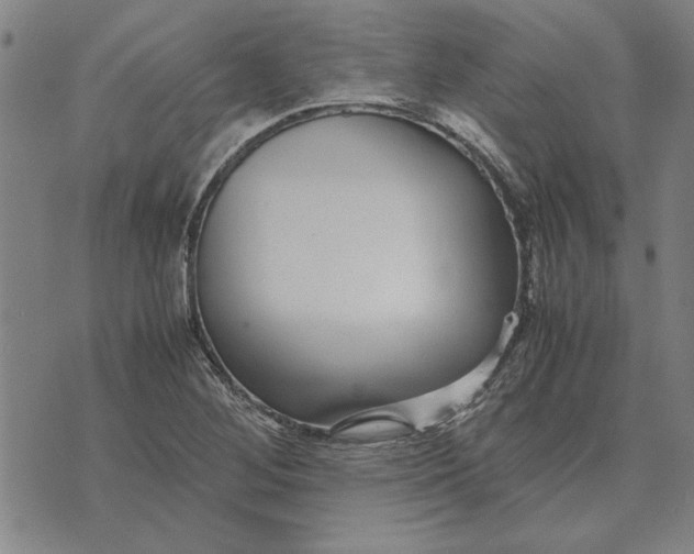 X0000071921268200607281844