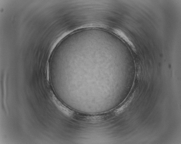X0000071921276200607281844