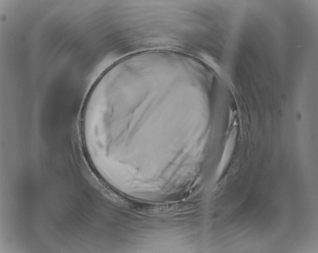 X0000071921291200607281844