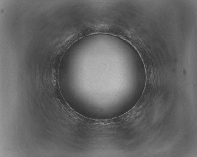 X0000071921301200607281843