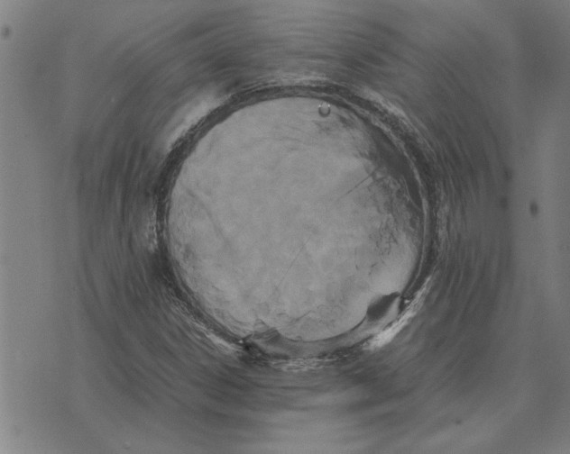 X0000071921306200607281843
