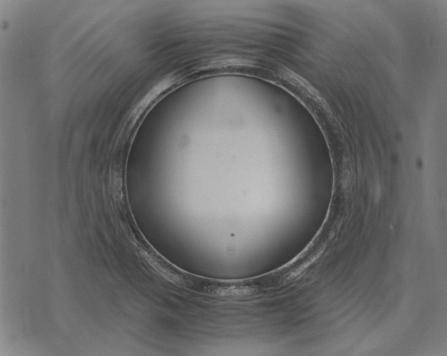 X0000071921321200607281843