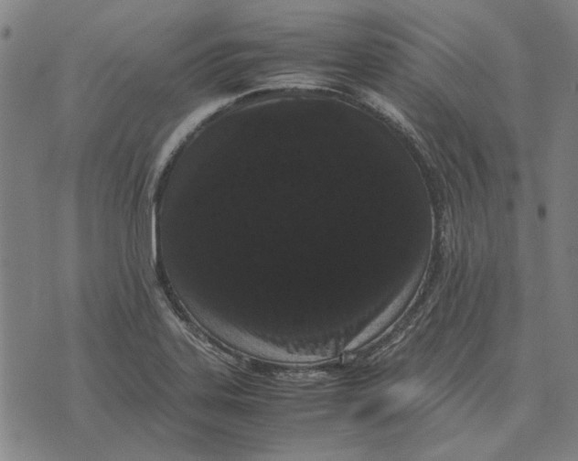 X0000071921323200607281843