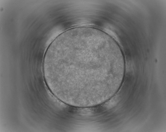 X0000071921338200607281844