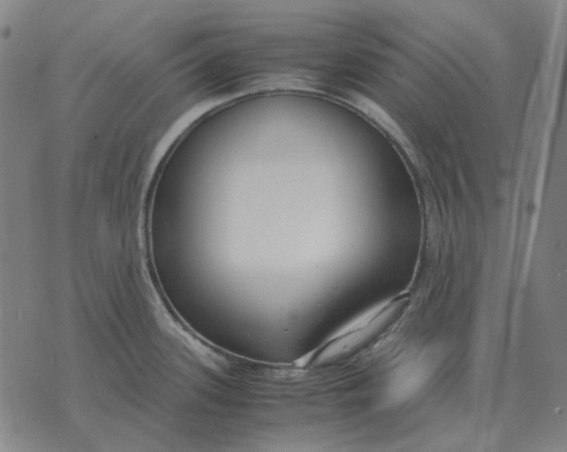 X0000071921339200607281844