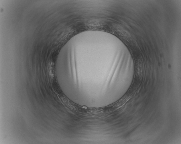 X0000071921346200607281843