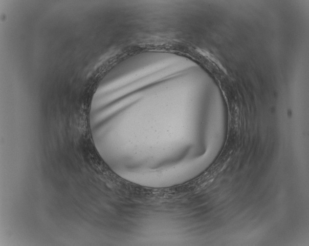 X0000071921350200607281843