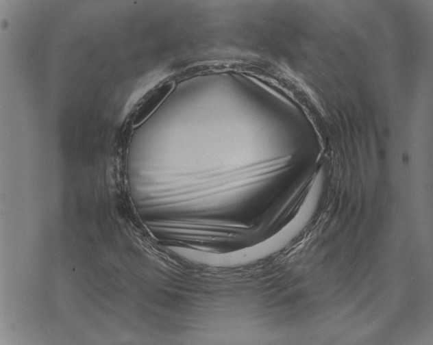 X0000071921352200607281843