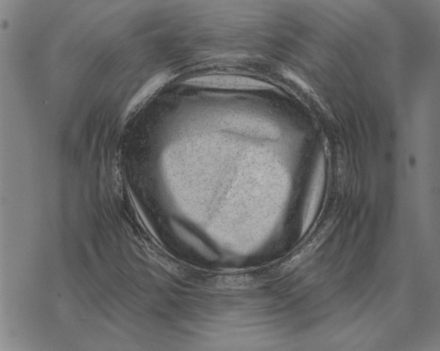 X0000071921354200607281843
