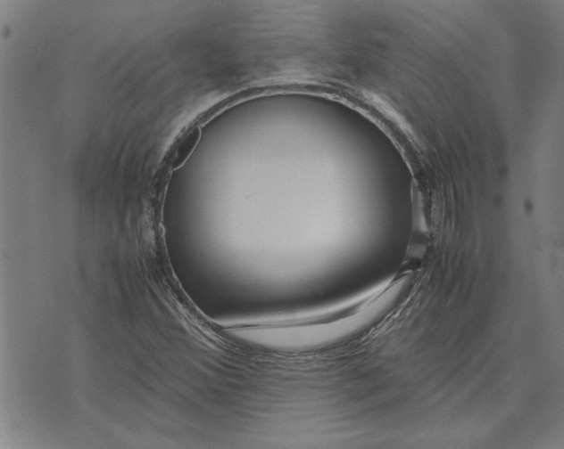 X0000071921356200607281843