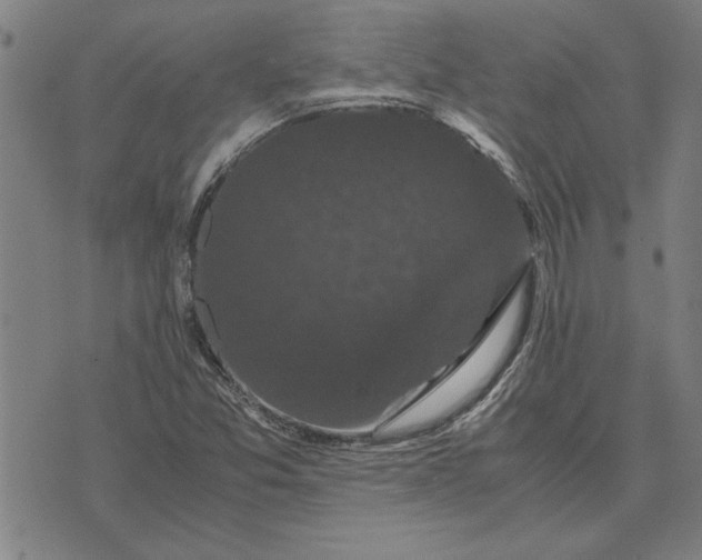 X0000071921357200607281843