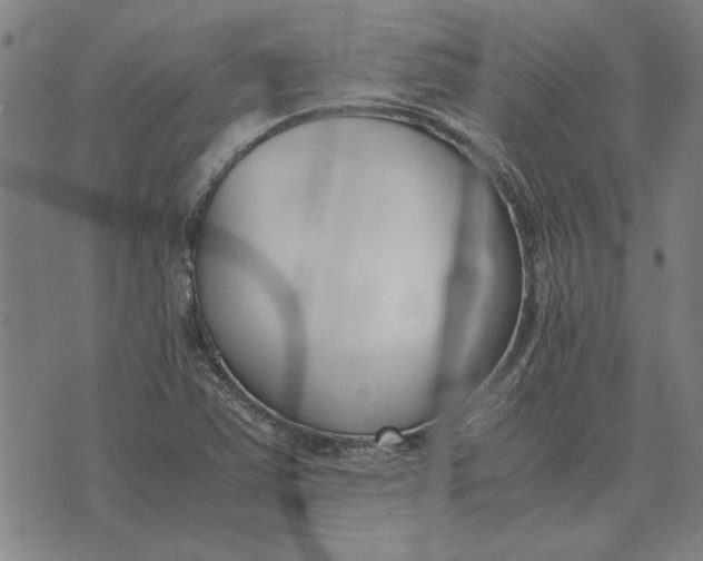 X0000071921363200607281843