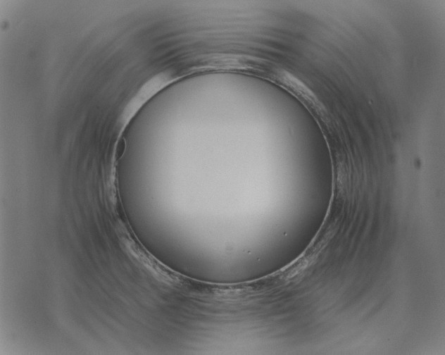 X0000071921378200607281842