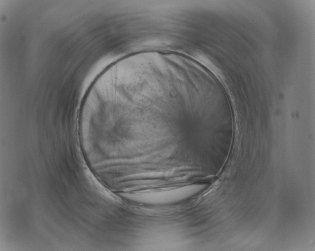 X0000071921392200607281842