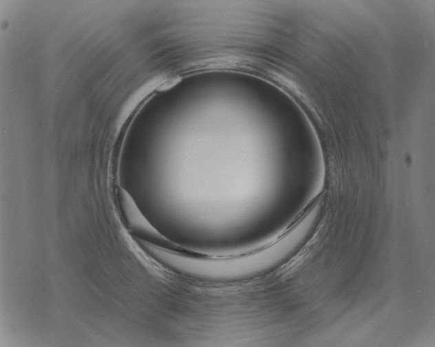 X0000071921426200607281842