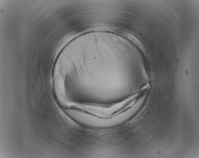 X0000071921428200607281842