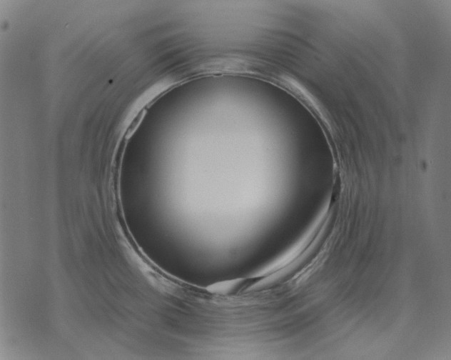X0000071921434200607281842