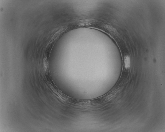 X0000071921444200607281841