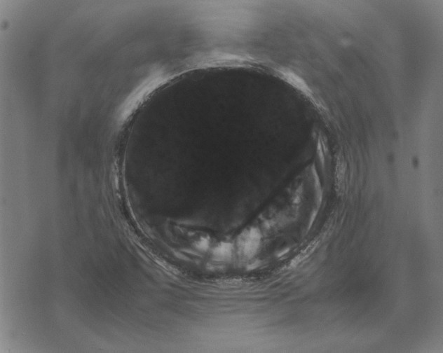 X0000071921455200607281841