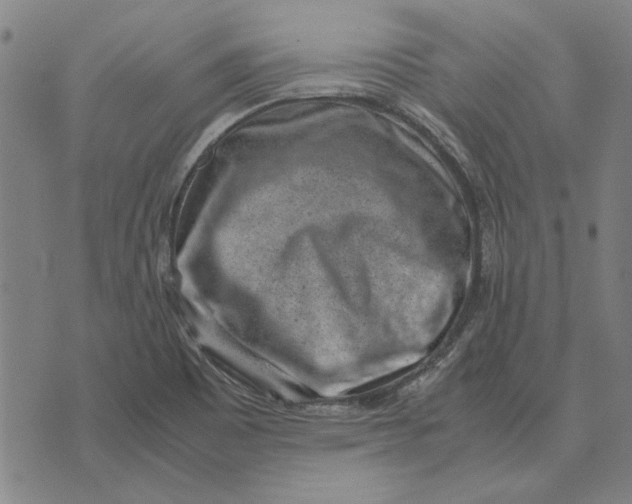 X0000071921465200607281841