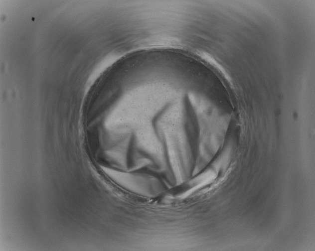 X0000071921469200607281841