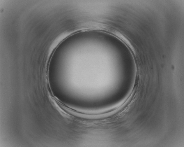 X0000071921485200607281841